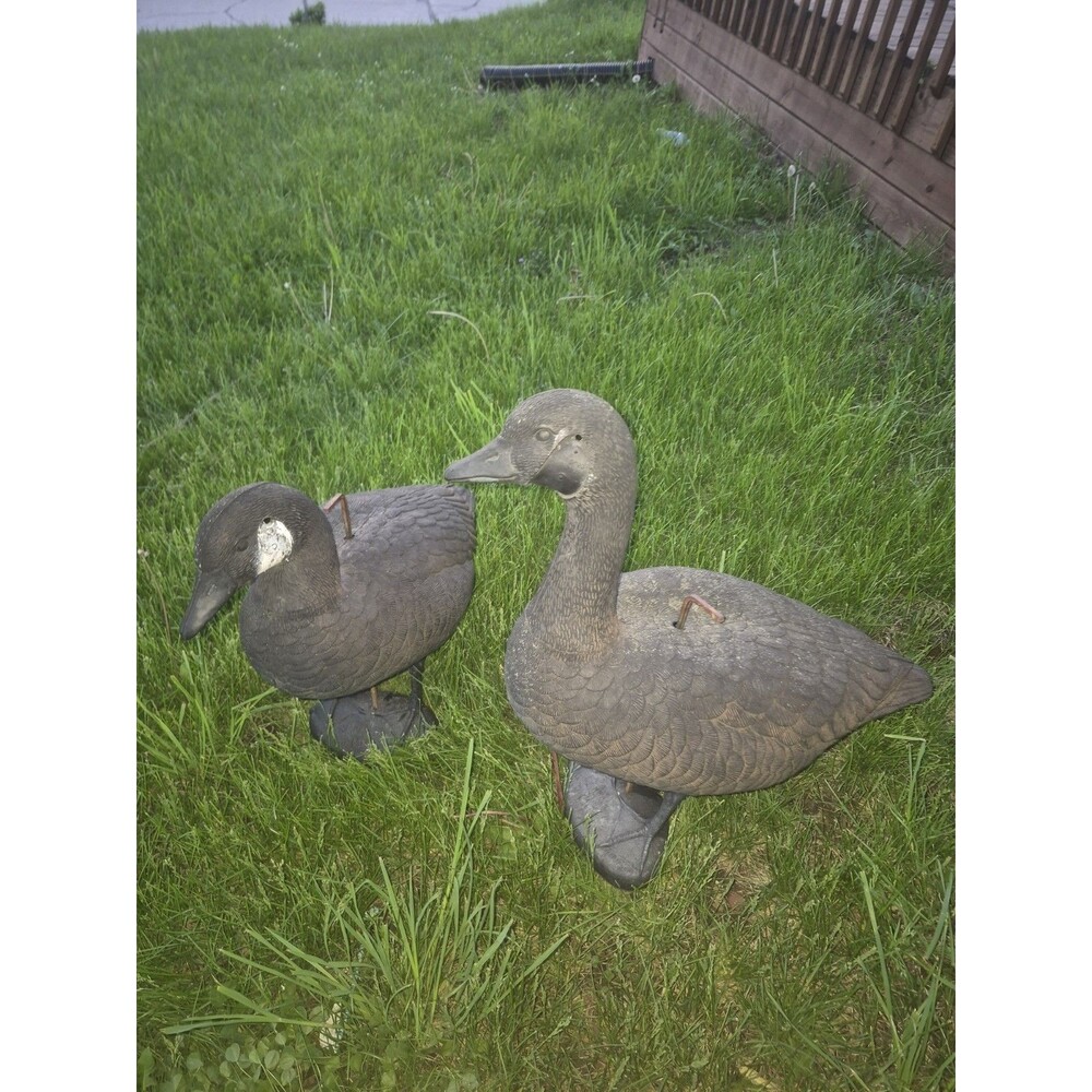 Vintage Canada Goose Decoys w/ Stakes (2) Can Meet In Des Moines IA